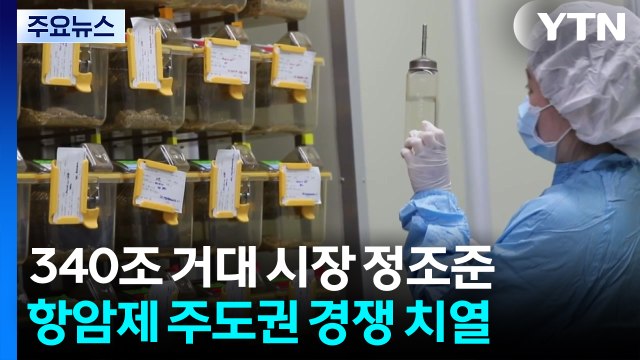 340조 거대 시장 정조준...국내외 항암제 주도권 경쟁 치열 / YTN