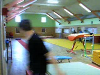 gym amateur ensisheim stempflin florent et bourg benjamin