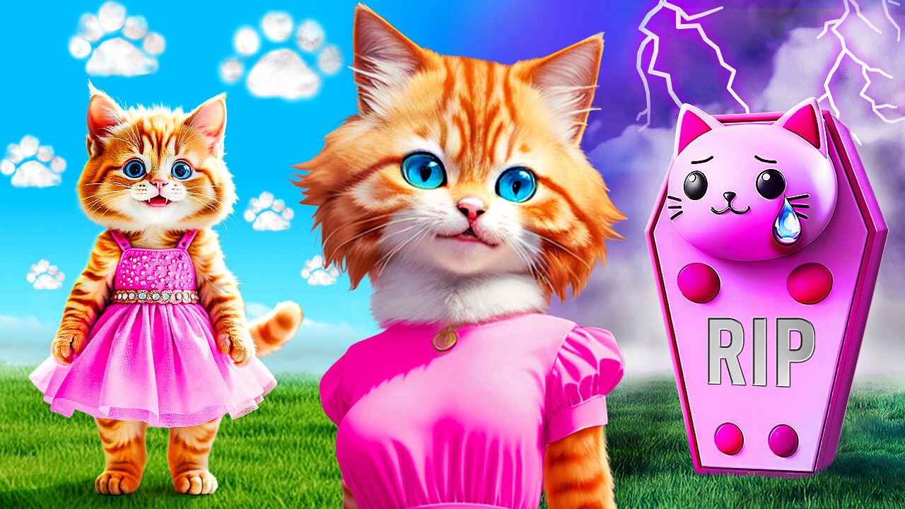The Journey of a Cat: From Kittenhood to Golden Years