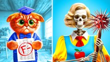 Discover the Best Gadgets and Tips for Your Beloved Cats
