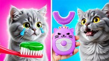 Unique DIY Ideas with My Cat: Hair Art, School Tools, and Fun Masks