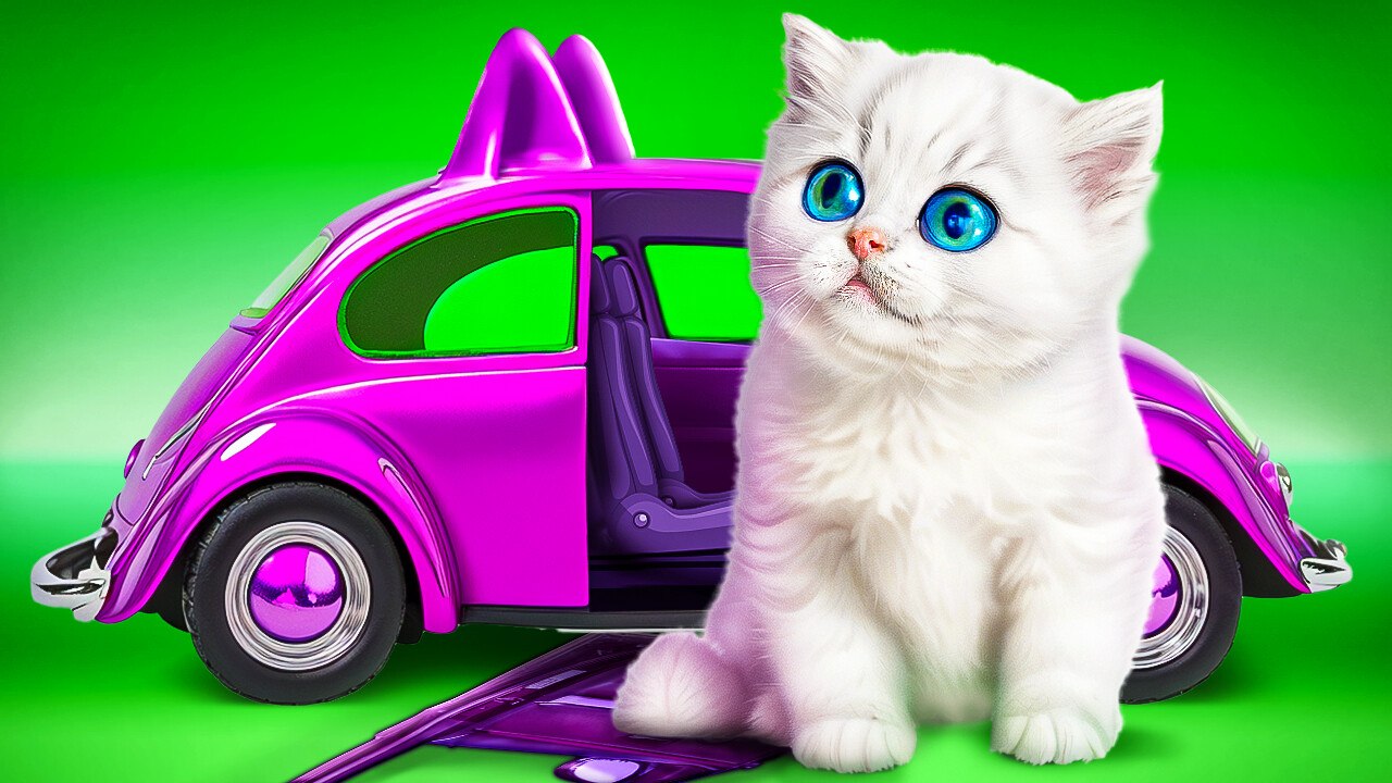 Clever Cat Hacks: Must-See Gadgets for Your Furry Friends!
