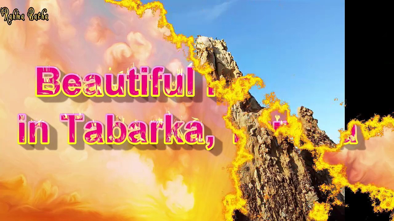 Beautiful Needles in Tabarka, Tunisia 🌹