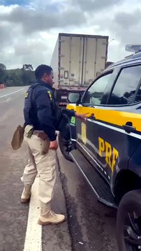 Força integrada apreende mais de 2,5 toneladas de maconha em caminhão na BR-277