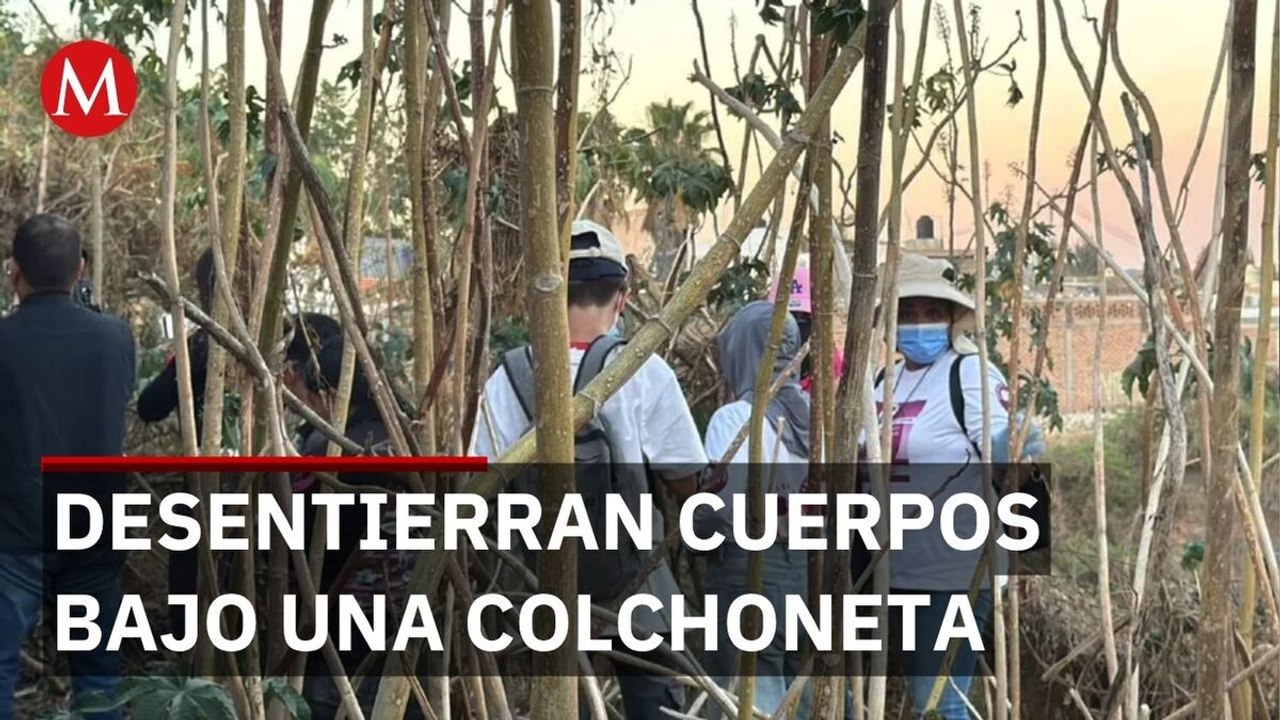 Madres buscadoras de Jalisco desentierran cinco cuerpos tras un reporte anónimo