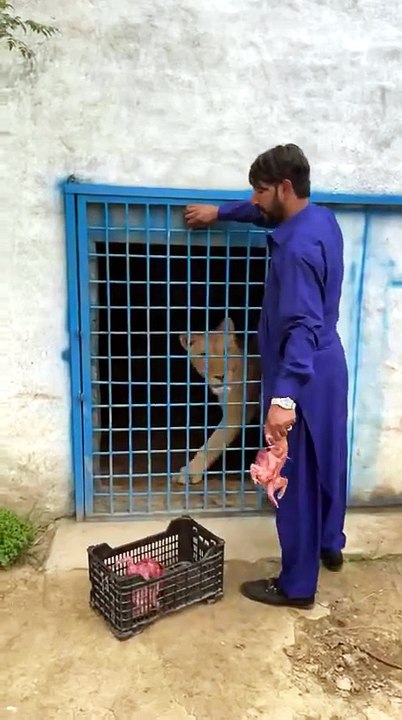 This job sucks