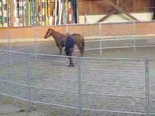 Monty Roberts 10 Juin 2008