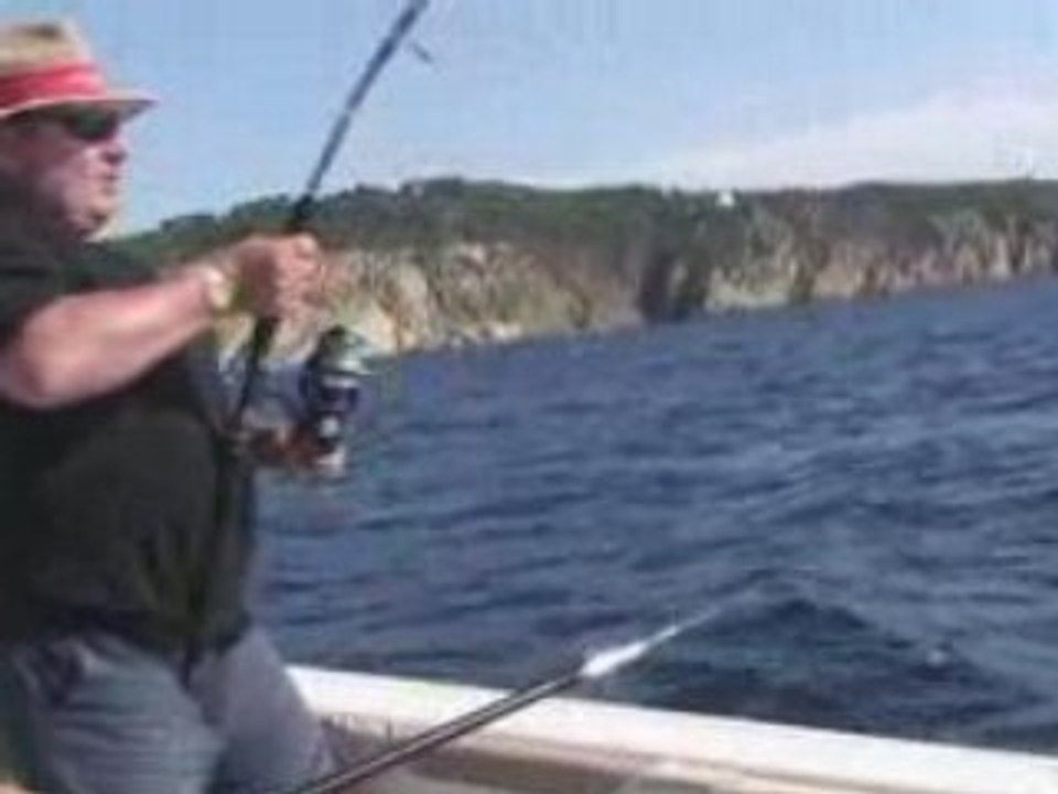 20080608082239