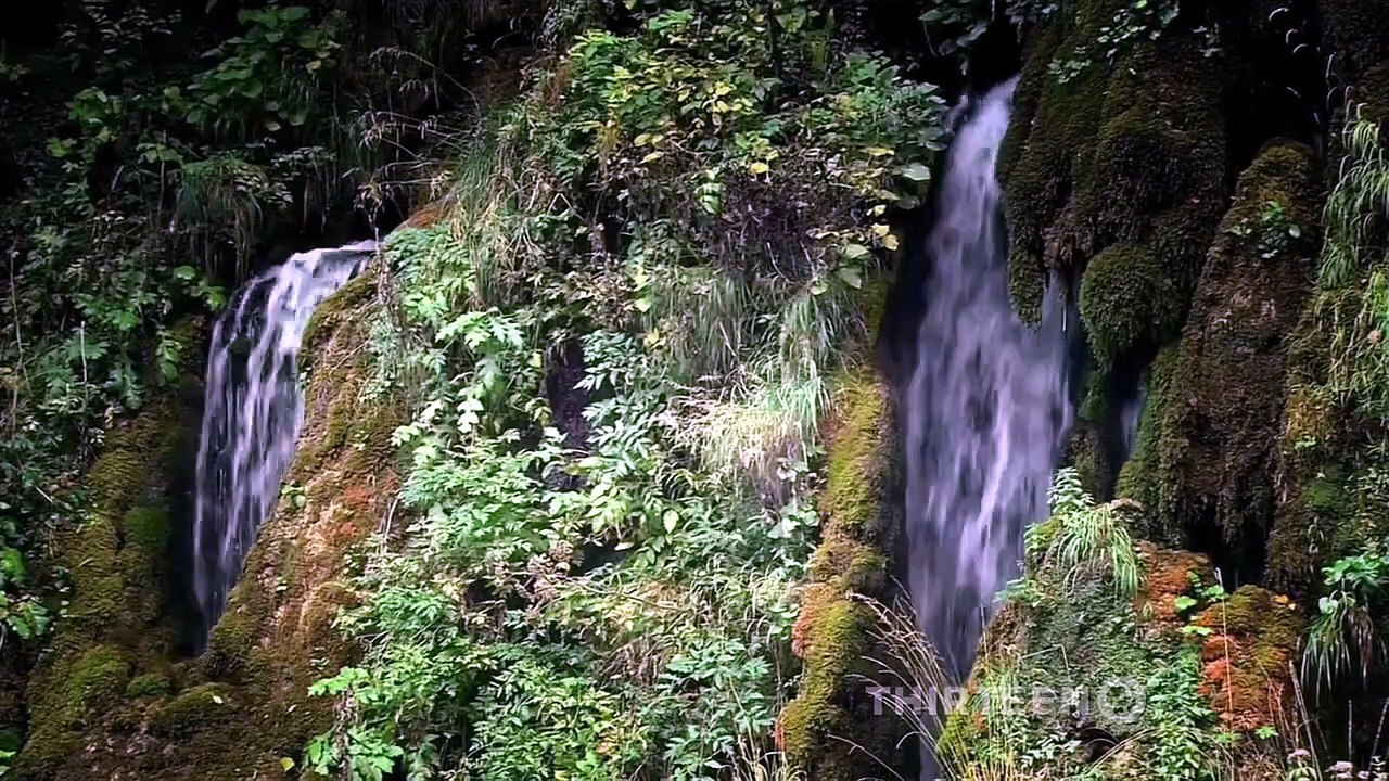 Wild Balkans