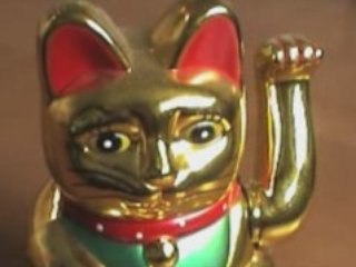 La mouche et le chat