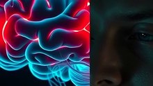 Why Familiar Sounds Calm Your Brain Instantly