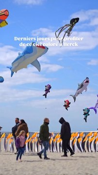 As-tu pu voir les Rencontres Internationales de Cerfs-Volants cette année ? 😍 Si ce n’est pas le cas fonce y pour les dernières heures #hautsdefrance #berck #nablezon nablezon
