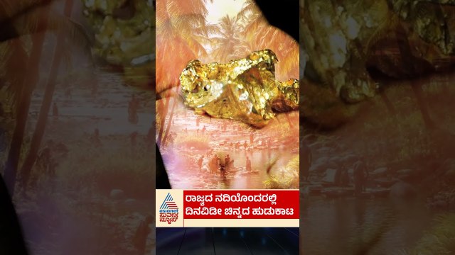 ರಾಜ್ಯದ ನದಿಯೊಂದರಲ್ಲಿ ದಿನವಿಡೀ ಚಿನ್ನದ ಹುಡುಕಾಟ | #goldhunting #karnatakarivers #suvarnanews