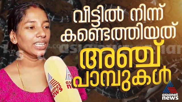 'എന്തോ ഭാഗ്യത്തിനാണ് കുട്ടികൾ രക്ഷപ്പെട്ടത്'; കുറ്റ്യാടിയിൽ വീട്ടിൽ നിന്ന് 5 പാമ്പുകളെ കണ്ടെത്തി
