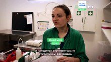 В ветклинике под Парижем спасают двухнедельного лисенка