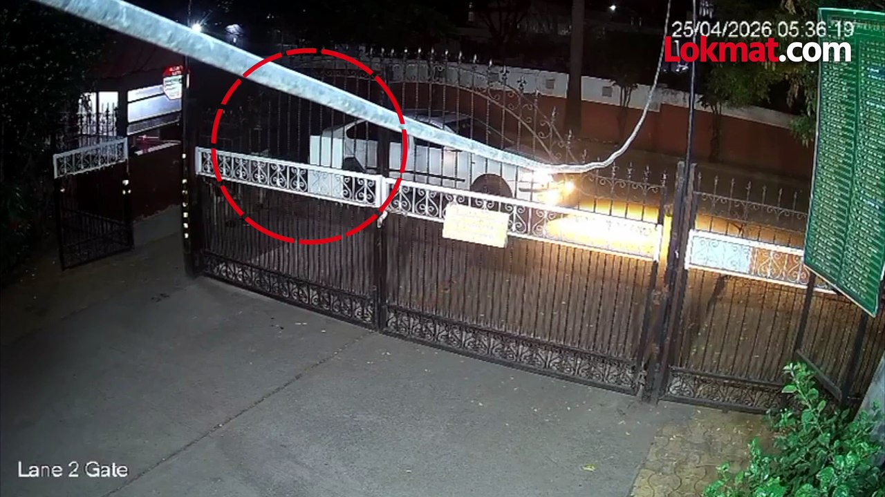 पुण्यात 'पुष्पा'! सुरक्षारक्षकाला धमकावून चंदनाची चोरी; थरारक CCTV