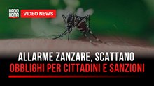 Allarme zanzare, scattano obblighi per cittadini e sanzioni