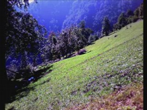 TRABZON ARAKLI ERENLER (YAPRAKLI YAYLASI ÇUHUR EZEK VS.)