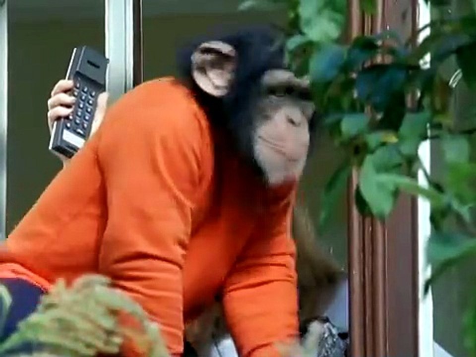 Unser Charly S03E12-Charly und der Champion