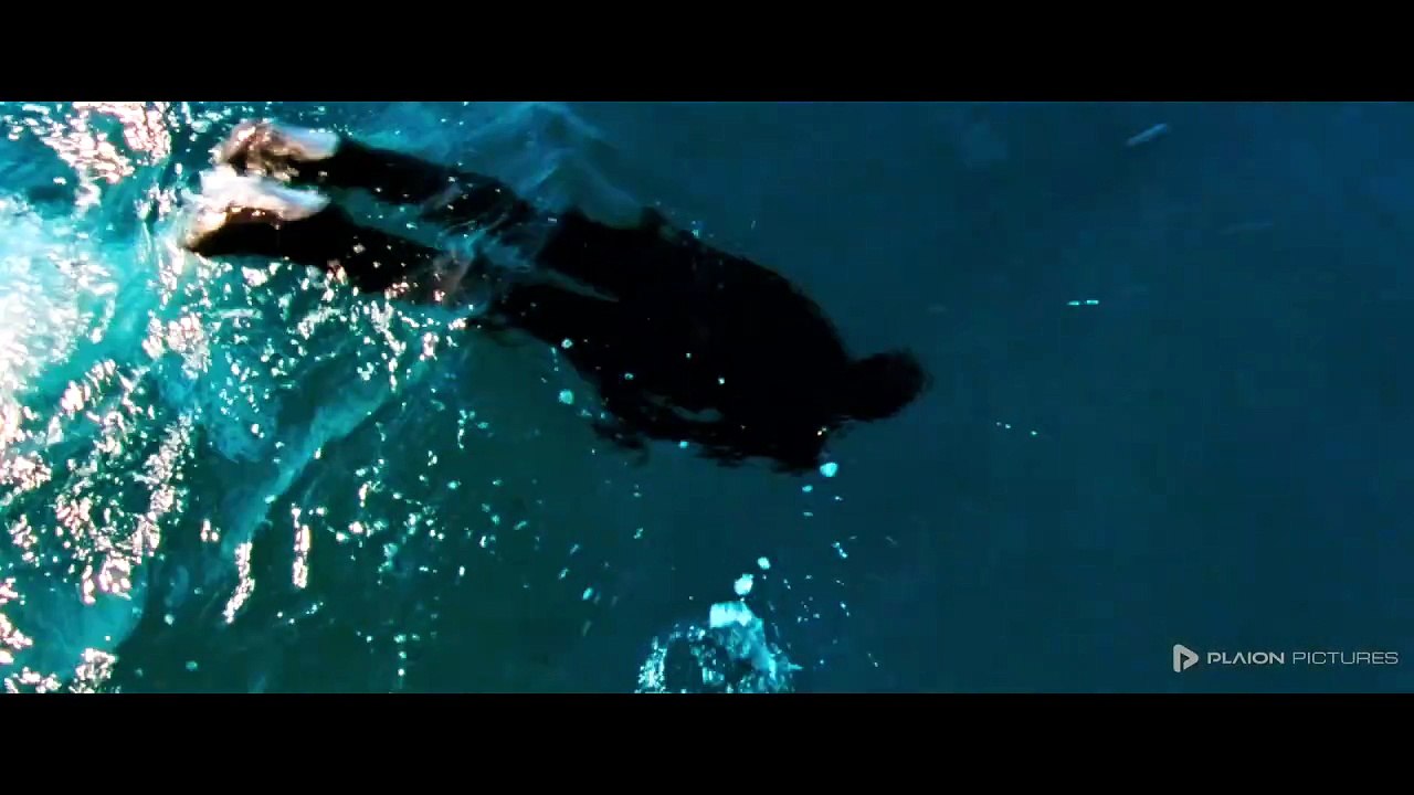 Reflection in a Dead Diamond Film