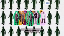 Które kraje europejskie mają obowiązkową, a które dobrowolną służbę wojskową?