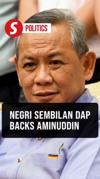 Negri Sembilan DAP pledges support for Aminuddin, rejects 'backdoor govt'