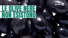 Il segreto delle olive nere industriali