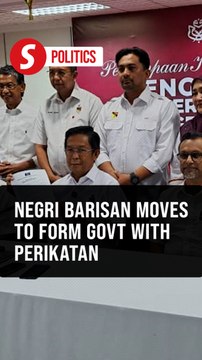 Negri Barisan says it has simple majority to form govt with Perikatan