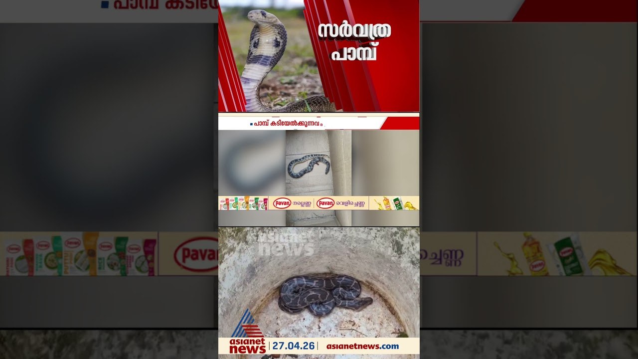 എവിടെ തിരിഞ്ഞാലും പാമ്പ്; ഇന്ന് മാത്രം കേരളത്തി...