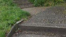 Die Treppe im Park// The stairs in the park: Deutscher Wortschatz jeden Tag