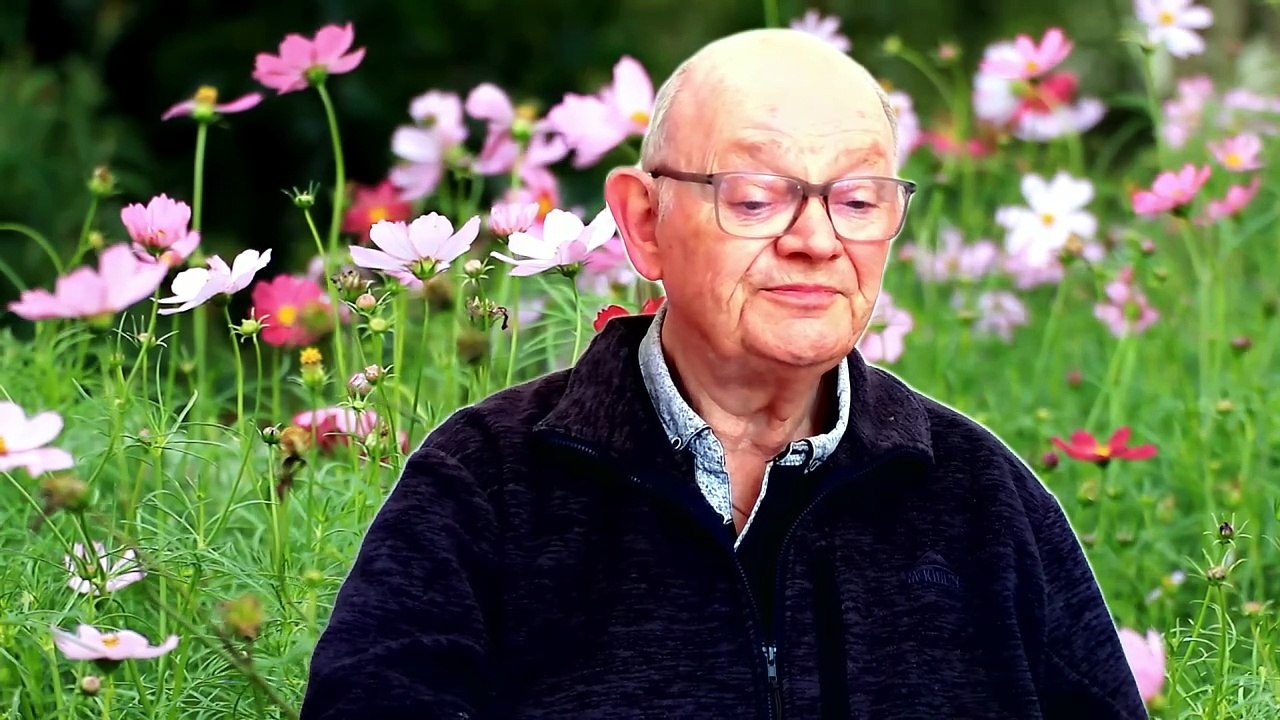 PAPY JEANMARRRY CHANTE   SALUT LES AMOUREUX  DE JOE DASSIN-