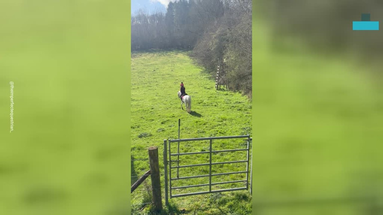Horseback Ride Ends in Hilarious Pony Fall