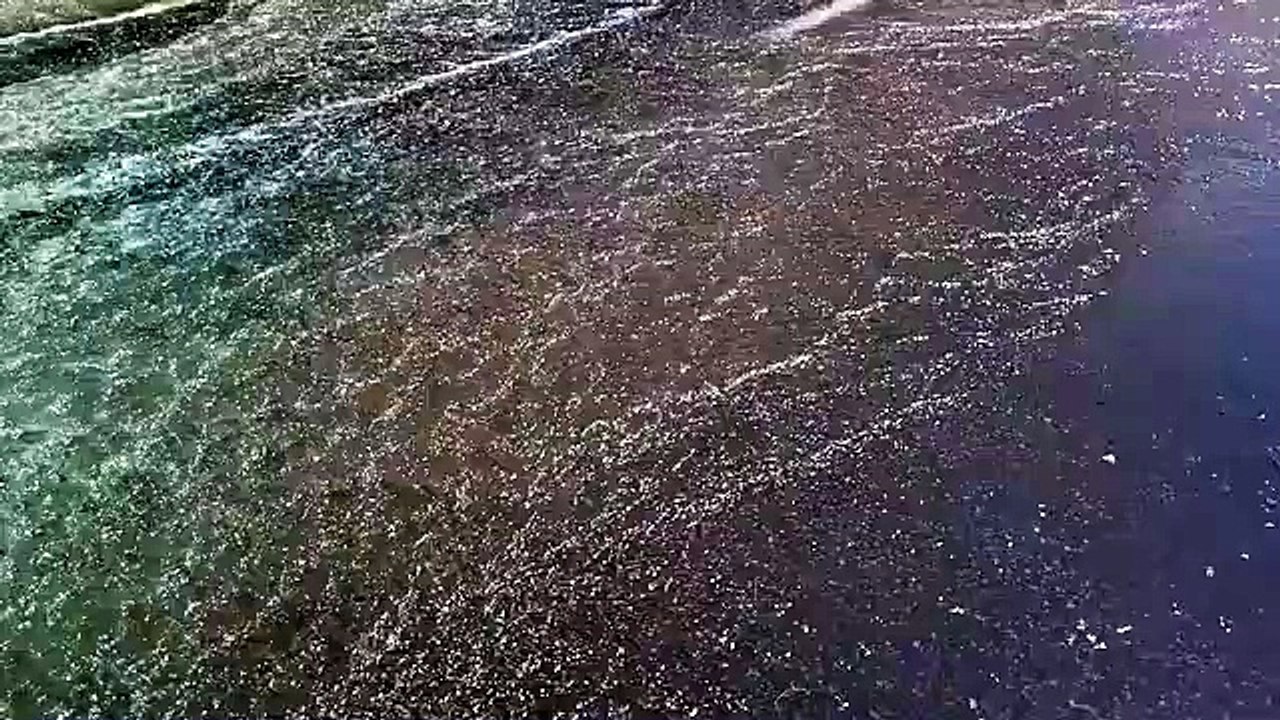Rotura de una tubería en la avenida de Burgos