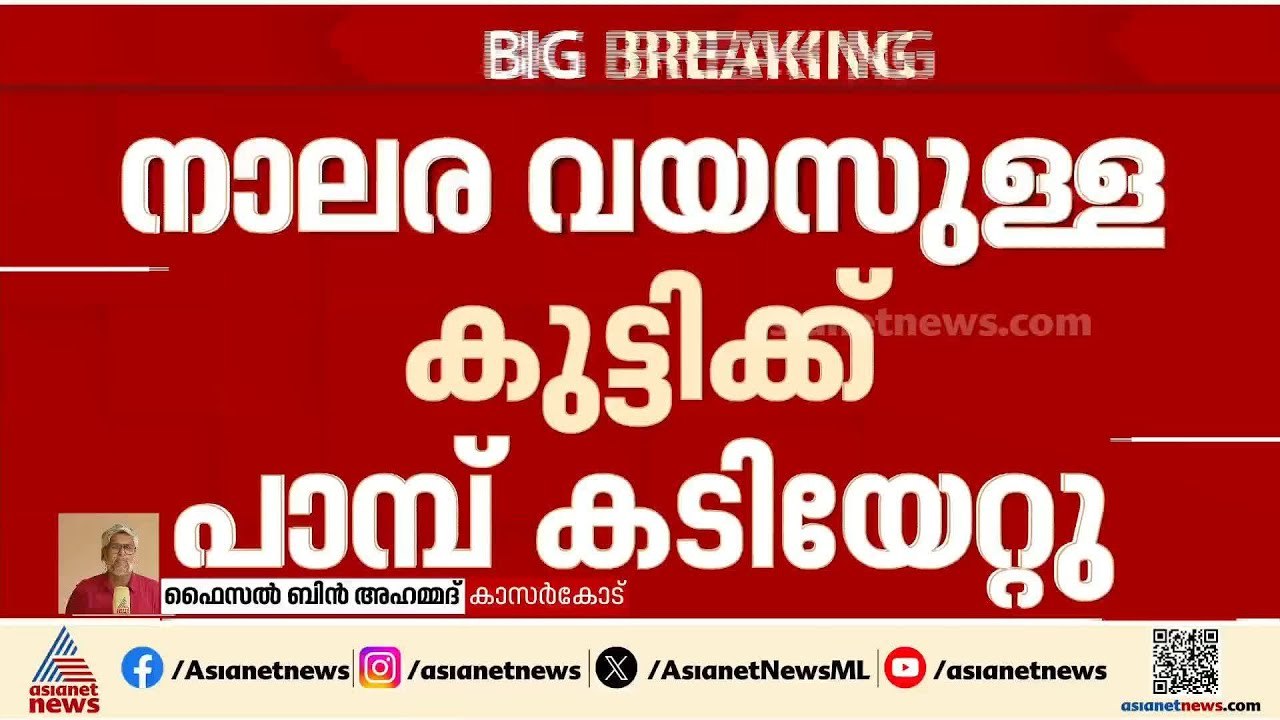 കാസർകോട് നാലര വയസുള്ള കുട്ടിക്ക് പാമ്പ് കടിയേറ്...