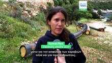 Αποστολή στην Ιθάκη: Ιχθυοκαλλιέργειες «φαντάσματα» μολύνουν και απειλούν την ασφάλεια των πλοίων