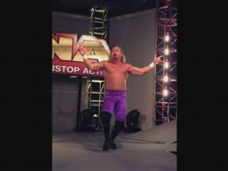 jerry Lynn tna theme