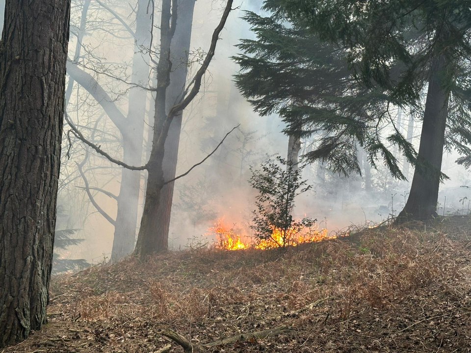 Land of Nod Fire footage