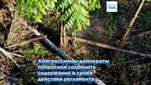 Законодатели США призывают ЕС не смягчать закон о борьбе с обезлесением в преддверии его пересмотра