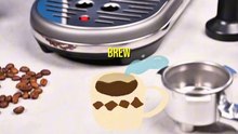Barista Reviews the Breville Bambino Espresso Machine