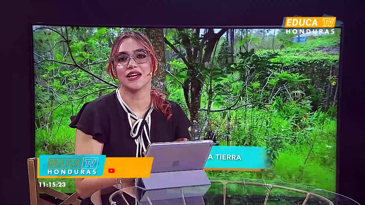 Día de la tierra