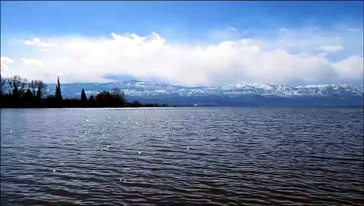 1 Hour Piano Relaxation – Stress Relief, Study, and Meditation