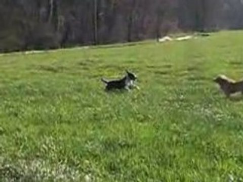 Chicachica ma petite staff, repose en paix