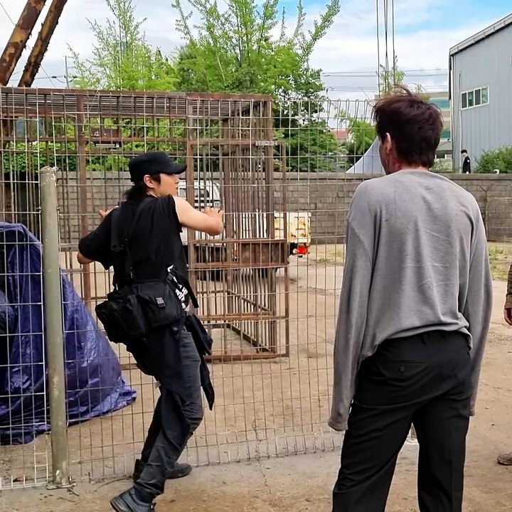 STUTN RIGGING KOREA_Zombie Stunt BTS