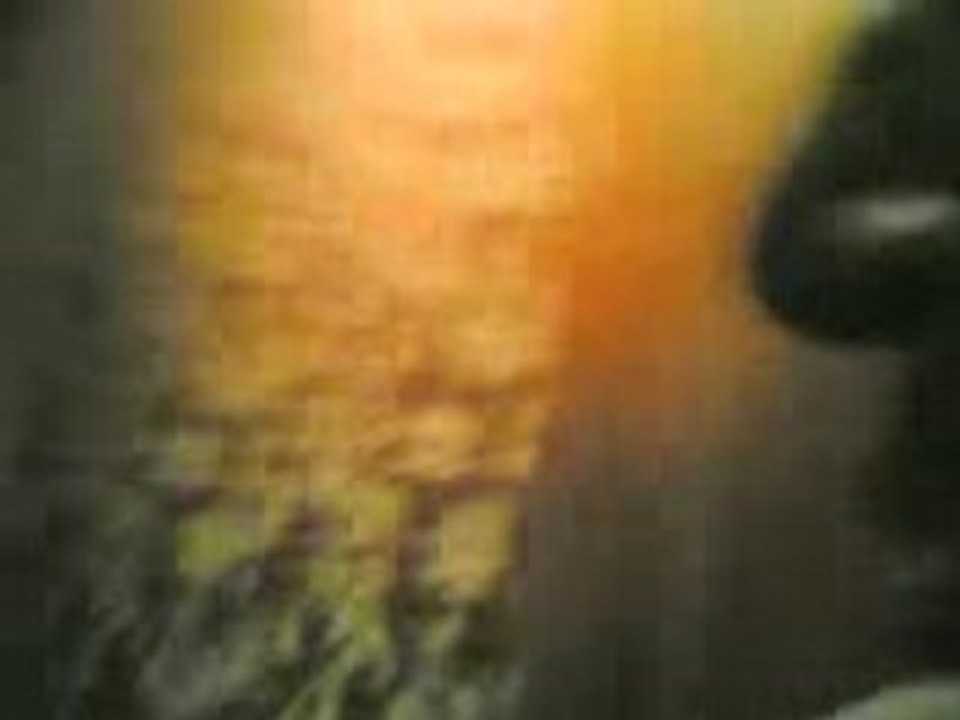 Fin de l'enregistrement - Paris to Purple City