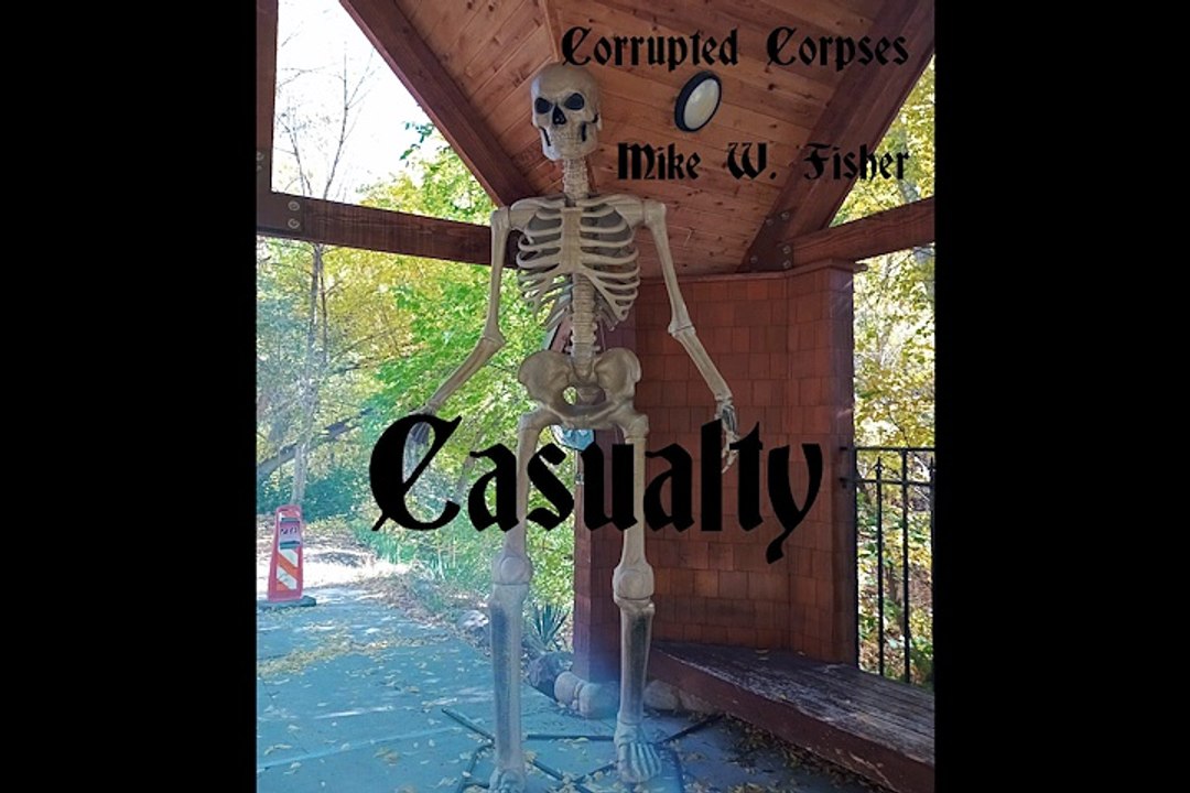 Casualty (visualizer audio)