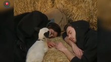 مسلسل أنت من أحببت الحلقة 11 اعلان 3 مترجم للعربيه داريا لم تمت(360P)