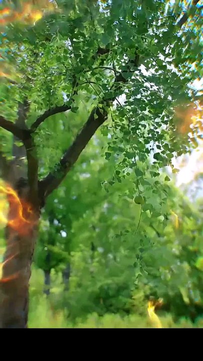 [Deutsche Untertitel] Spiel nicht mit dem Schicksalsfäden! Ganze Folge