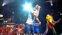ザ・ハイロウズ｜↑THE HIGH-LOWS↓｜青春