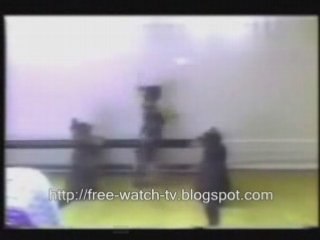 cute, funny, hilarious - cats, dogs