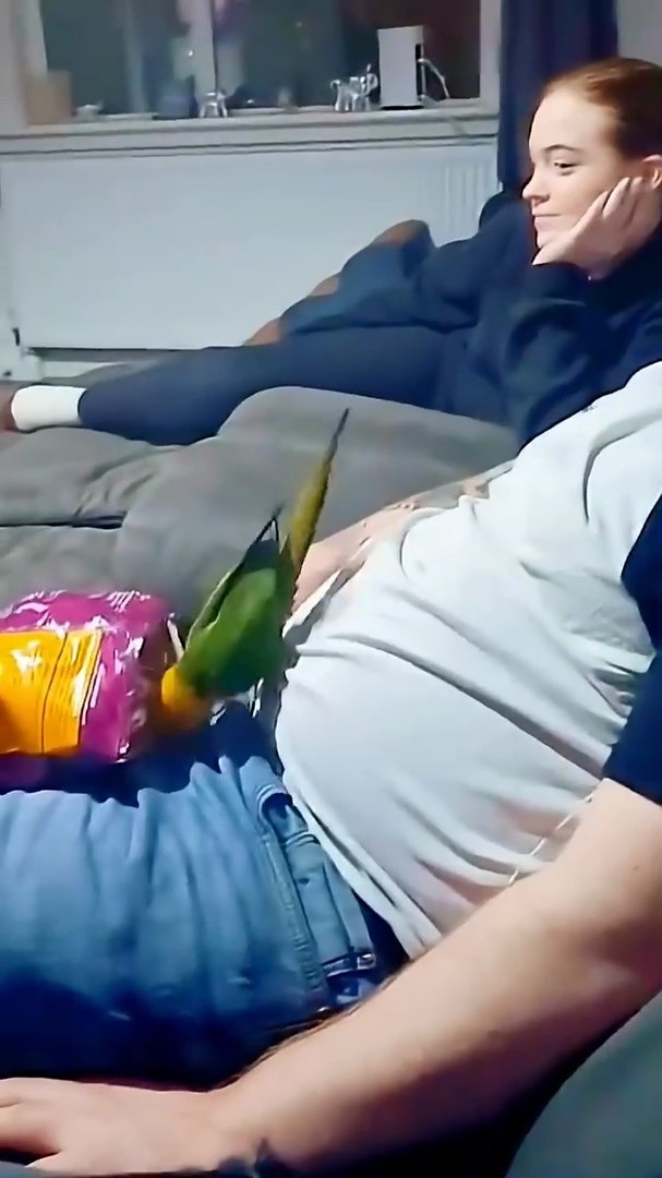 ⁣crazy parrots moments in their behaviors 🤣😅